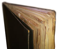 Book's tattered page edges